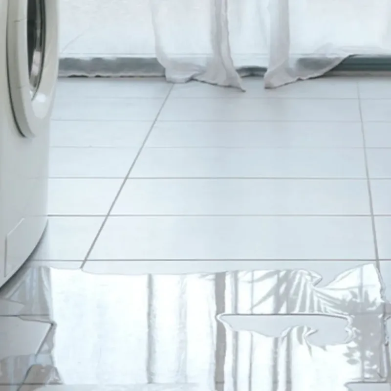 Appliance Leak Cleanup in Dallesport, WA