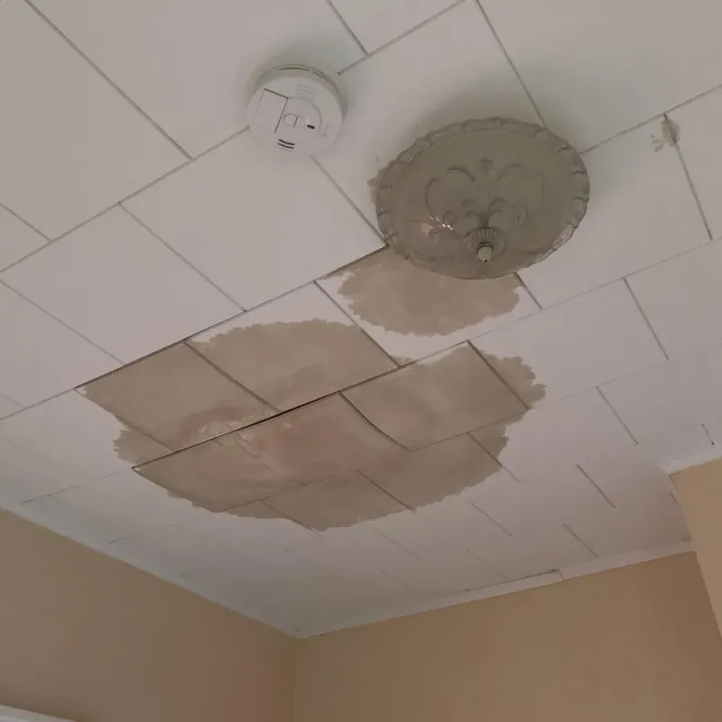 Ceiling Water Damage Repair in Dallesport, WA
