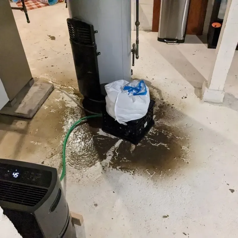 Sewage Backup Cleanup Service in Dallesport, WA